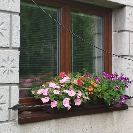 Apartmán U Babicky *